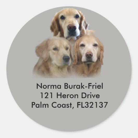 Golden Retriever Trio Retouradresstempel Ronde Sticker (Voorkant)