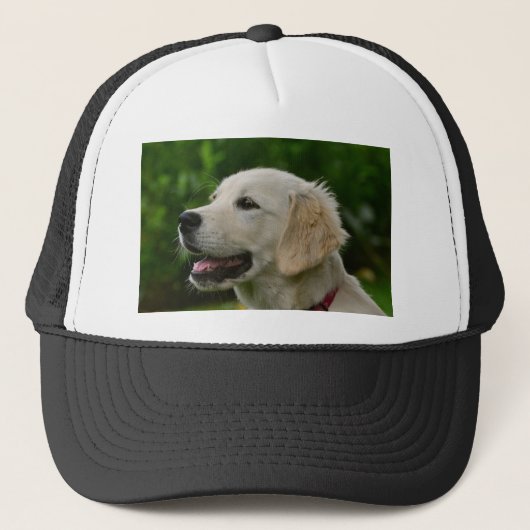 Golden Retriever Trucker Pet (Voorkant)