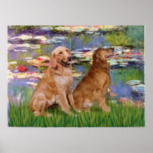 Golden Retriever (twee) - Lilies 2 Poster
