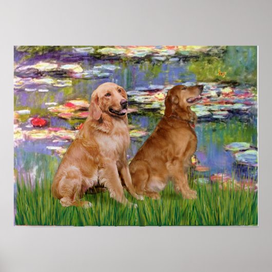 Golden Retriever (twee) - Lilies 2 Poster (Voorkant)