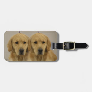 Golden Retriever Twins Luggage Topper Bagagelabel