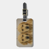 Golden Retriever Twins Luggage Topper Bagagelabel (Voorkant verticaal)