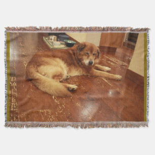 Golden Retriever type hond op houten vloer in de b Deken