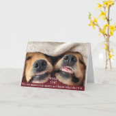 Golden Retriever Undercover Agents, Birthday-kaart Kaart (Gele Bloem)