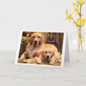 Golden Retriever-Vaderdag kaart (Gele Bloem)