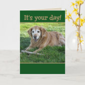 Golden Retriever Vaderdag Kaart (Gele Bloem)