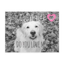 Golden Retriever VALENTIJN Briefkaart