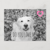 Golden Retriever VALENTIJN Briefkaart (Voorkant)