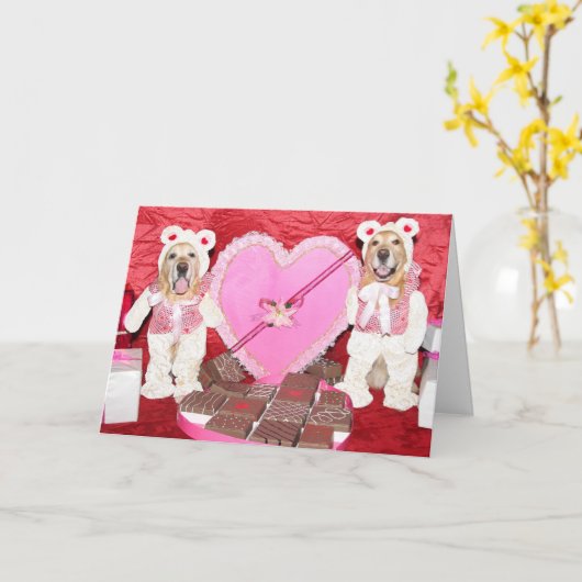 Golden Retriever Valentijn en Chocolade Beren Kaart (Gele Bloem)