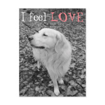 Golden Retriever VALENTIJNSDAG Briefkaart