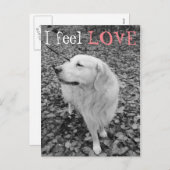 Golden Retriever VALENTIJNSDAG Briefkaart (Voorkant / Achterkant)