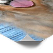 Golden Retriever verandert de wereld Poster (Hoek)