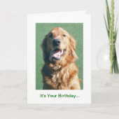 Golden Retriever Verjaardag Kaart, Golden Years Kaart (Voorkant)