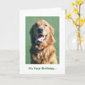 Golden Retriever Verjaardag Kaart, Golden Years Kaart (Gele Bloem)