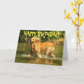 Golden Retriever verjaardagskaart Kaart (Gele Bloem)
