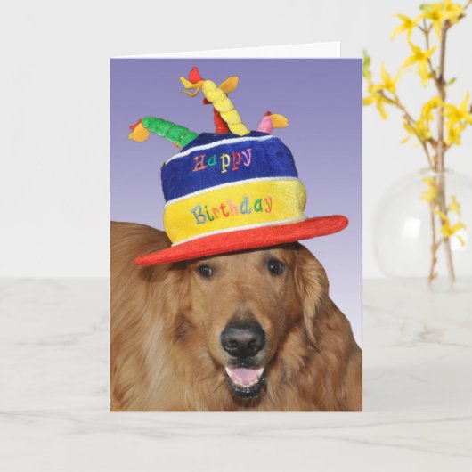 Golden Retriever verjaardagstaart pet kaart (Gele Bloem)
