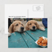 Golden Retriever Verjaardagswensen Briefkaart (Voorkant / Achterkant)