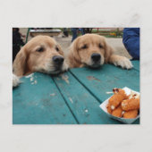 Golden Retriever Verjaardagswensen Briefkaart (Voorkant)