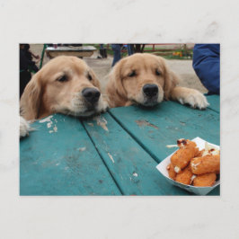 Golden Retriever Verjaardagswensen Briefkaart