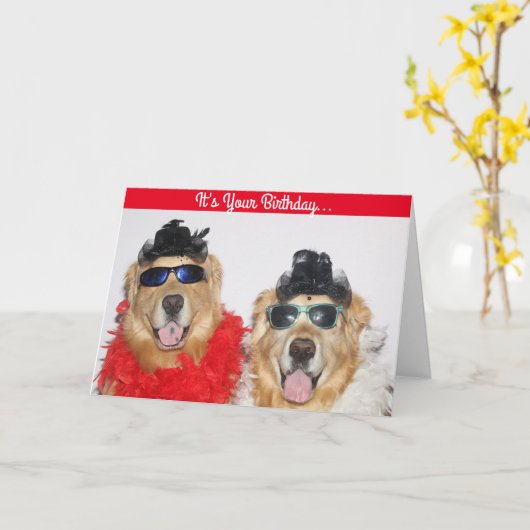 Golden Retriever Verkleed Verjaardag Kaart (Gele Bloem)