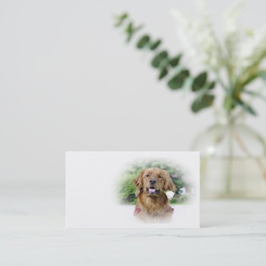 Golden Retriever visitekaartje