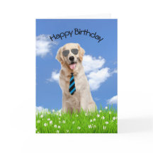 Golden Retriever voor de geboorte