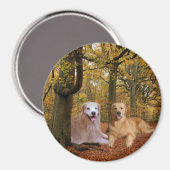 Golden Retriever vriendschapsmagneet Magneet (Voorkant / Achterkant)