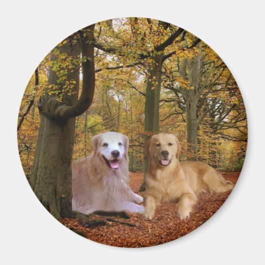 Golden Retriever vriendschapsmagneet Magneet (Voorkant)