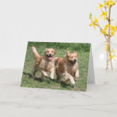 Golden Retriever Waar is het Feest? Kaart (Gele Bloem)