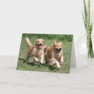 Golden Retriever Waar is het Feest? Kaart
