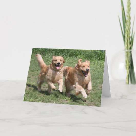 Golden Retriever Waar is het Feest? Kaart (Voorkant)