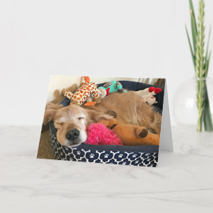 Golden Retriever waar jouw dromen je heen brengen Kaart