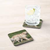 Golden Retriever Walking Bier Onderzetter (Rechterzijde)