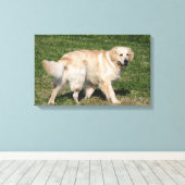 Golden Retriever Walking Canvas Afdruk (Insitu (Houten vloer))