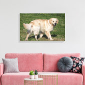 Golden Retriever Walking Canvas Afdruk (Insitu (Woonkamer))