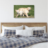 Golden Retriever Walking Canvas Afdruk (Insitu (Slaapkamer))