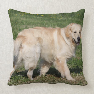 Golden Retriever Walking Kussen