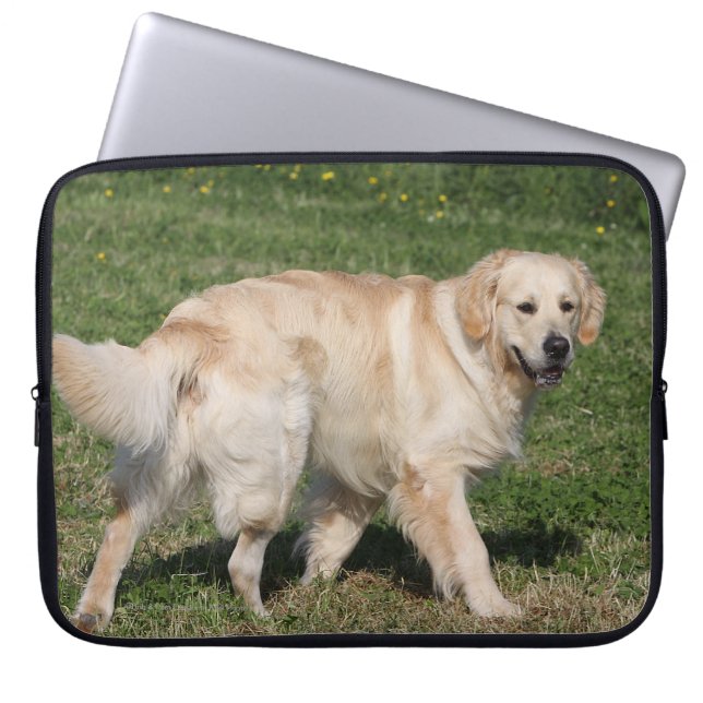 Golden Retriever Walking Laptop Sleeve (Voorkant)