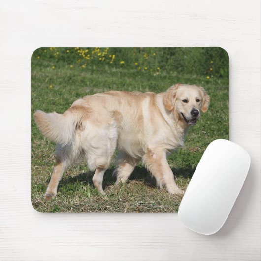 Golden Retriever Walking Muismat (Met muis)