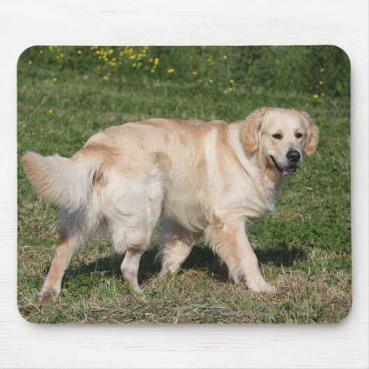 Golden Retriever Walking Muismat (Voorkant)