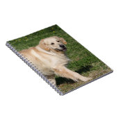 Golden Retriever Walking Notitieboek (Rechterzijde)