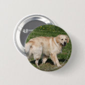 Golden Retriever Walking Ronde Button 5,7 Cm (Voorkant /achterkant)