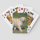 Golden Retriever Walking Speelkaarten (Achterkant)