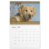 Golden Retriever - Wall Agenda 2010 Kalender (Feb 2027)