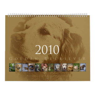 Golden Retriever - Wall Agenda 2010 Kalender