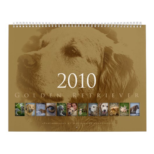 Golden Retriever - Wall Agenda 2010 Kalender (Hoes)