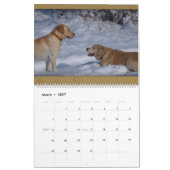 Golden Retriever - Wall Agenda 2010 Kalender (Mar 2027)