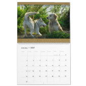 Golden Retriever - Wall Agenda 2010 Kalender (Jan 2027)