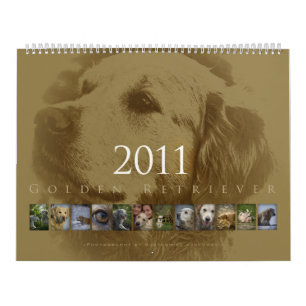 Golden Retriever - Wall Agenda 2011 Kalender