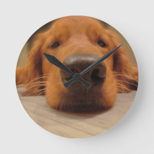 Golden Retriever Wall klok